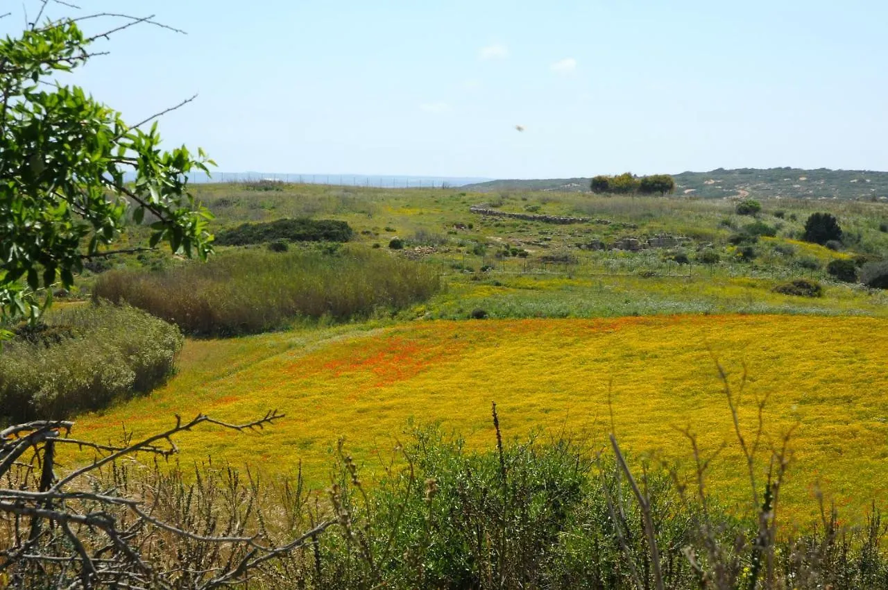Senafe Casa Vacanza A Noto Eloro Vendicari 0*, Lido di Noto Italy