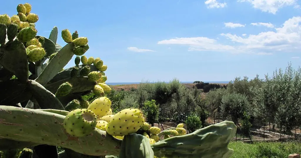 Vila Senafe Casa Vacanza A Noto Eloro Vendicari Lido di Noto